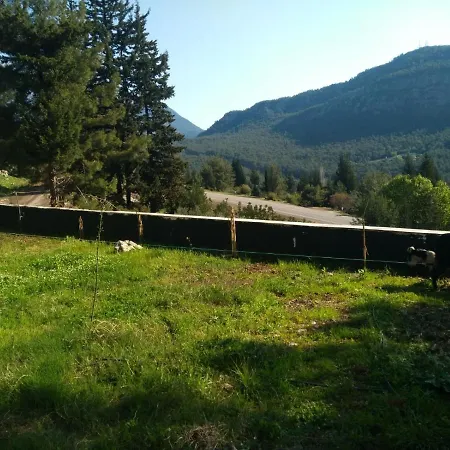 Tokgoez Otel Restaurant 2* Ulupinar